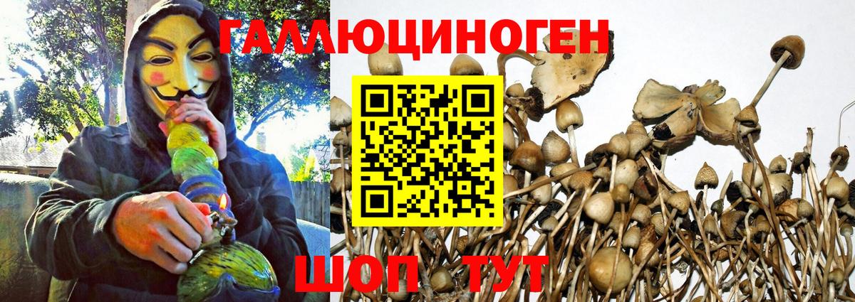 Галлюциногенные грибы Magic Shrooms  Галлюциногенные грибы MAGIC MUSHROOMS  Костомукша  Вход с VPN 